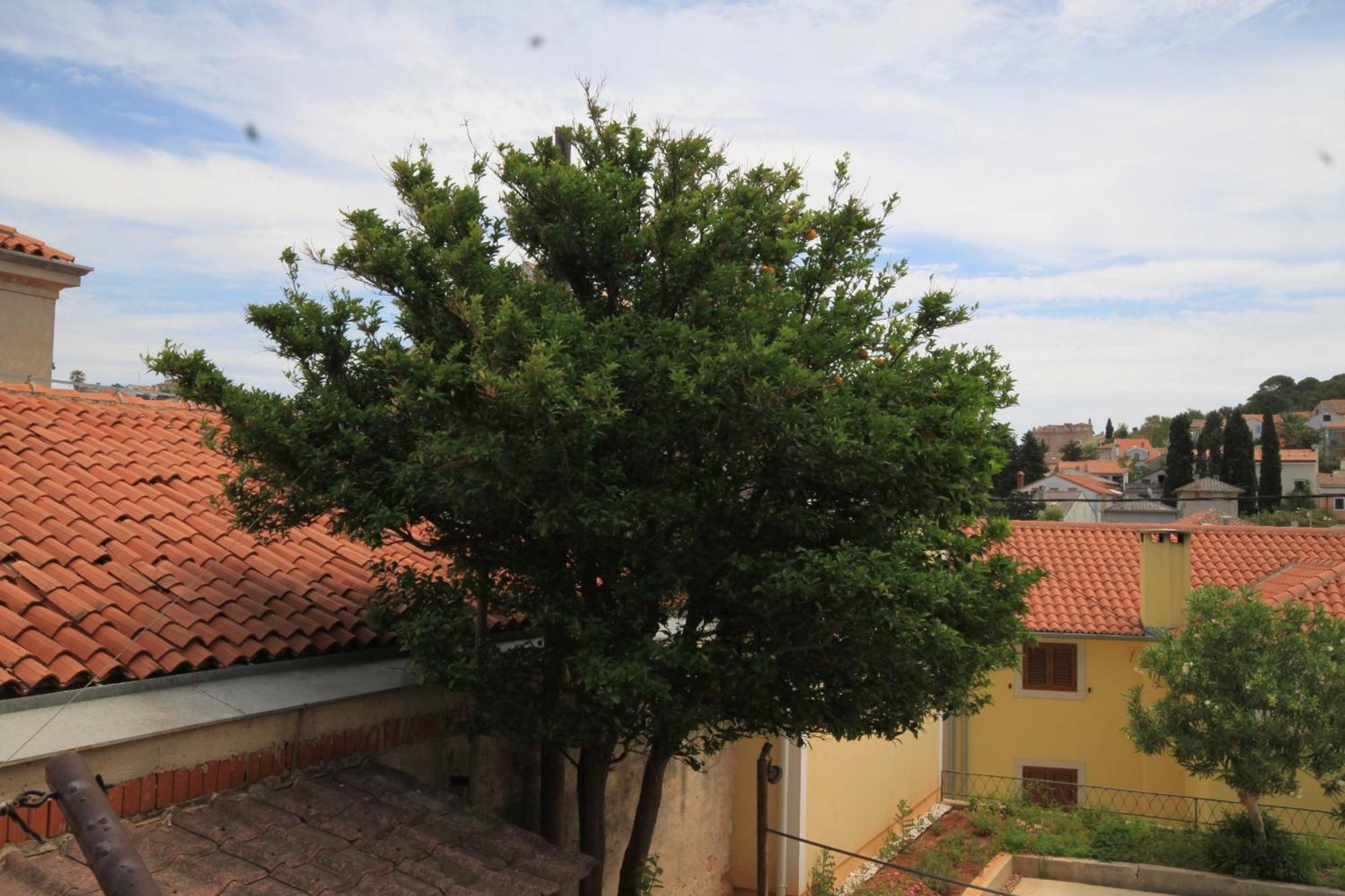 Apartments And Rooms With Parking Space Mali Lošinj Εξωτερικό φωτογραφία